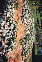 2010_12_22