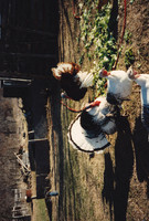 2010_12_22