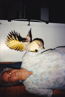 2010_12_22