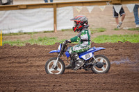 95 Gavon Wayland
